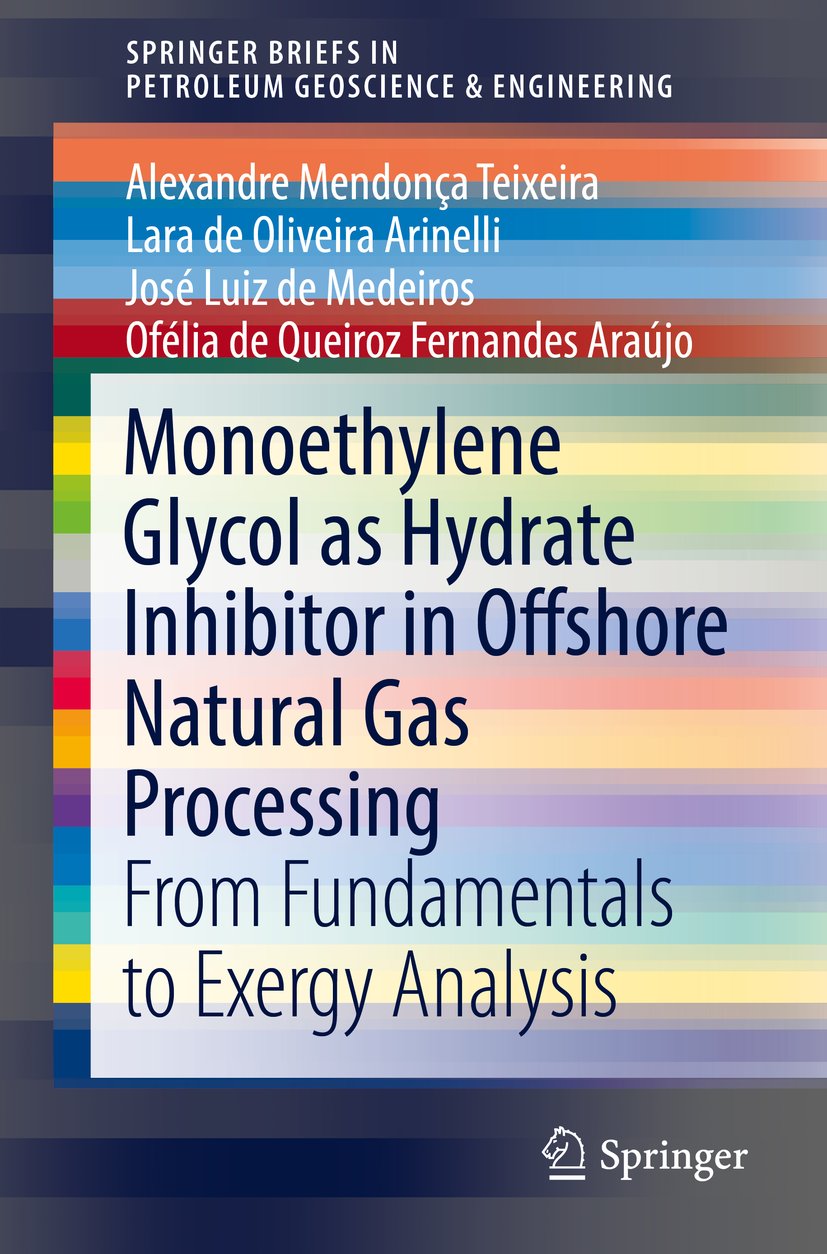 SpringerBriefs in Petroleum Geoscience & Engineering