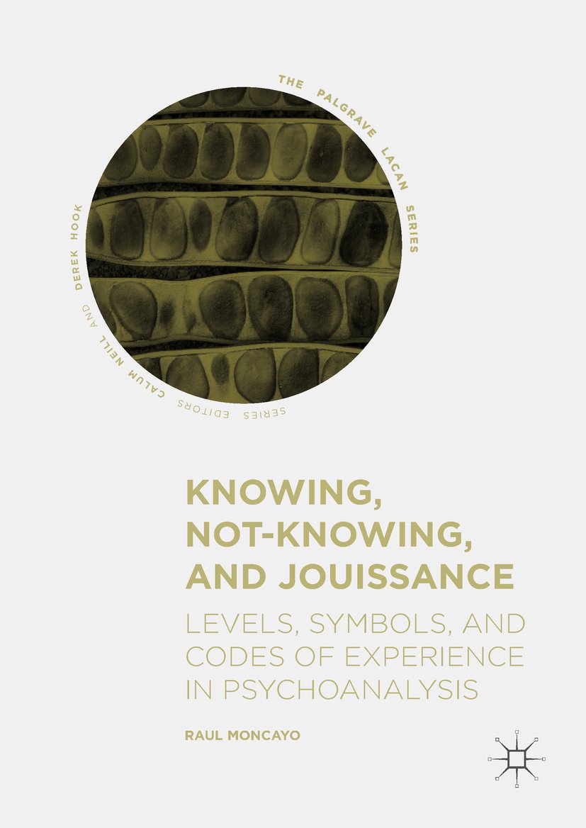 The Palgrave Lacan Series