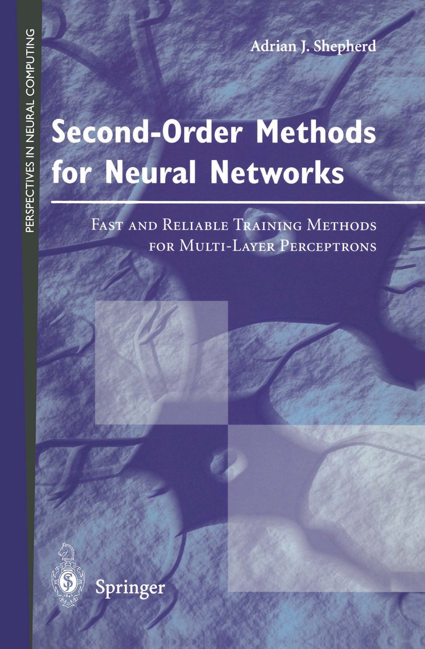 Perspectives in Neural Computing