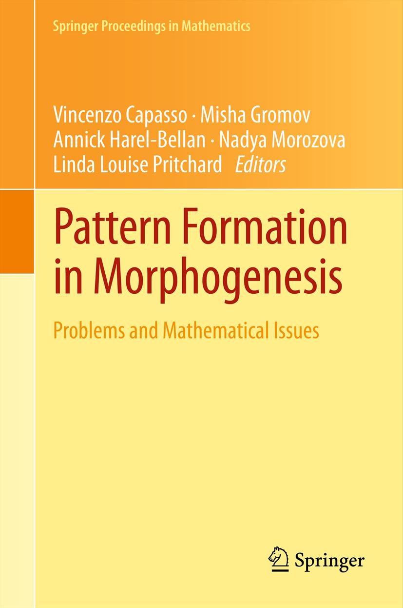 Springer Proceedings in Mathematics