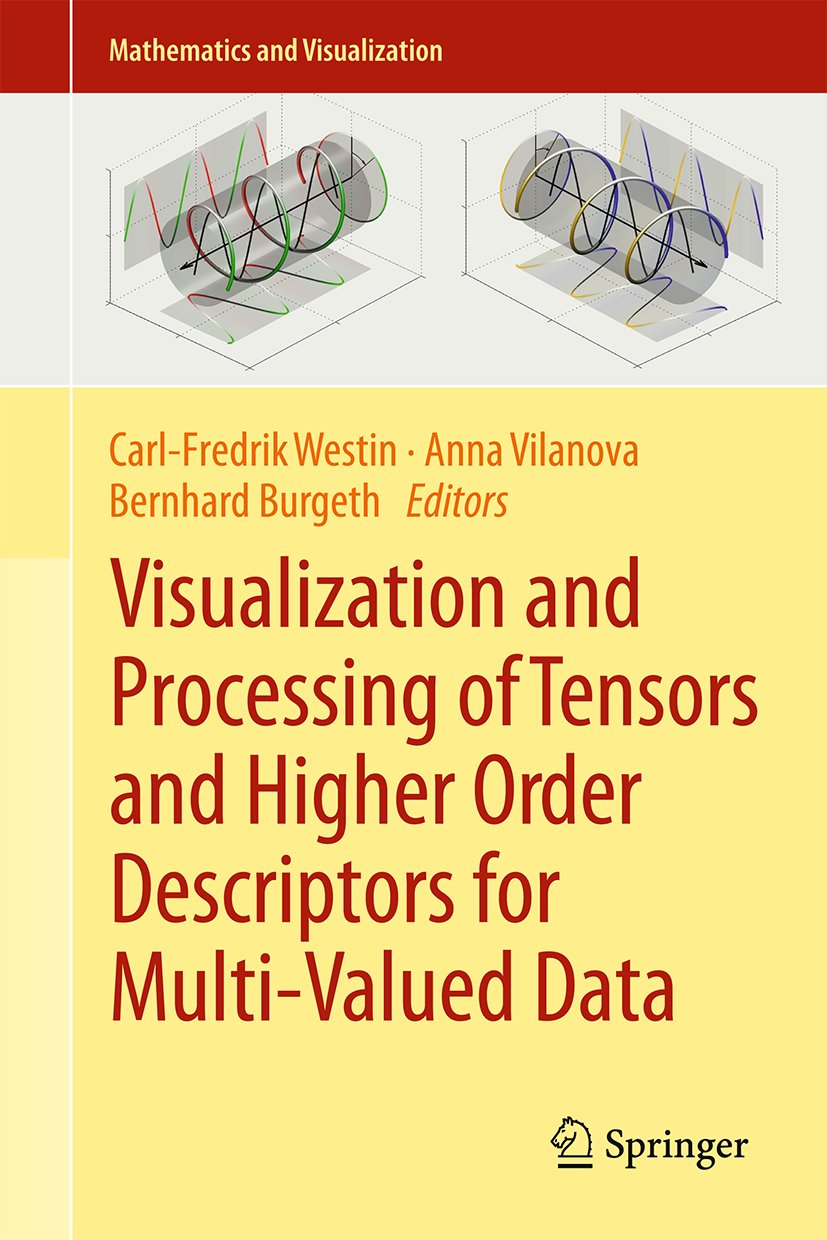Mathematics and Visualization