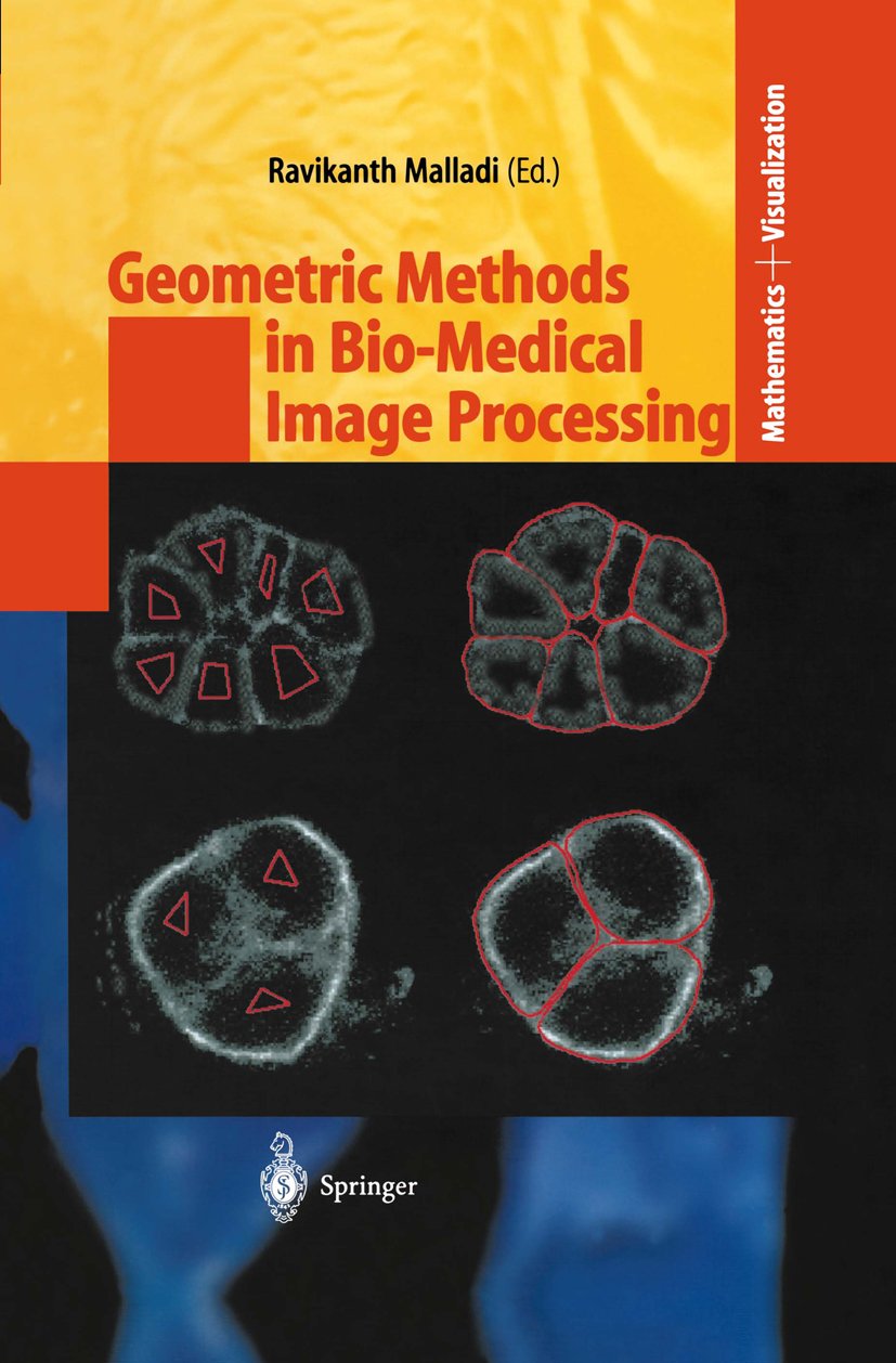 Mathematics and Visualization