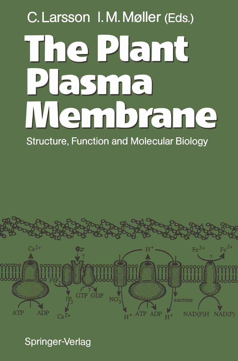 The Plant Plasma Membrane