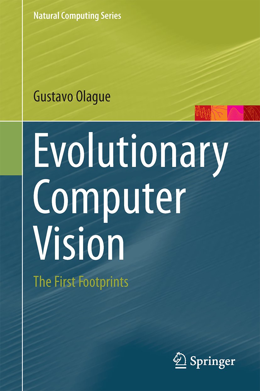 Natural Computing Series