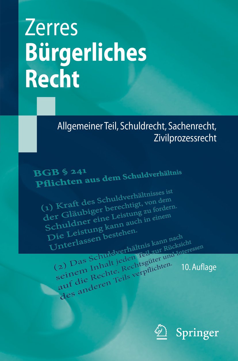 Springer-Lehrbuch: Allgemeiner Teil, Schuldrecht, Sachenrecht, Zivilprozessrecht