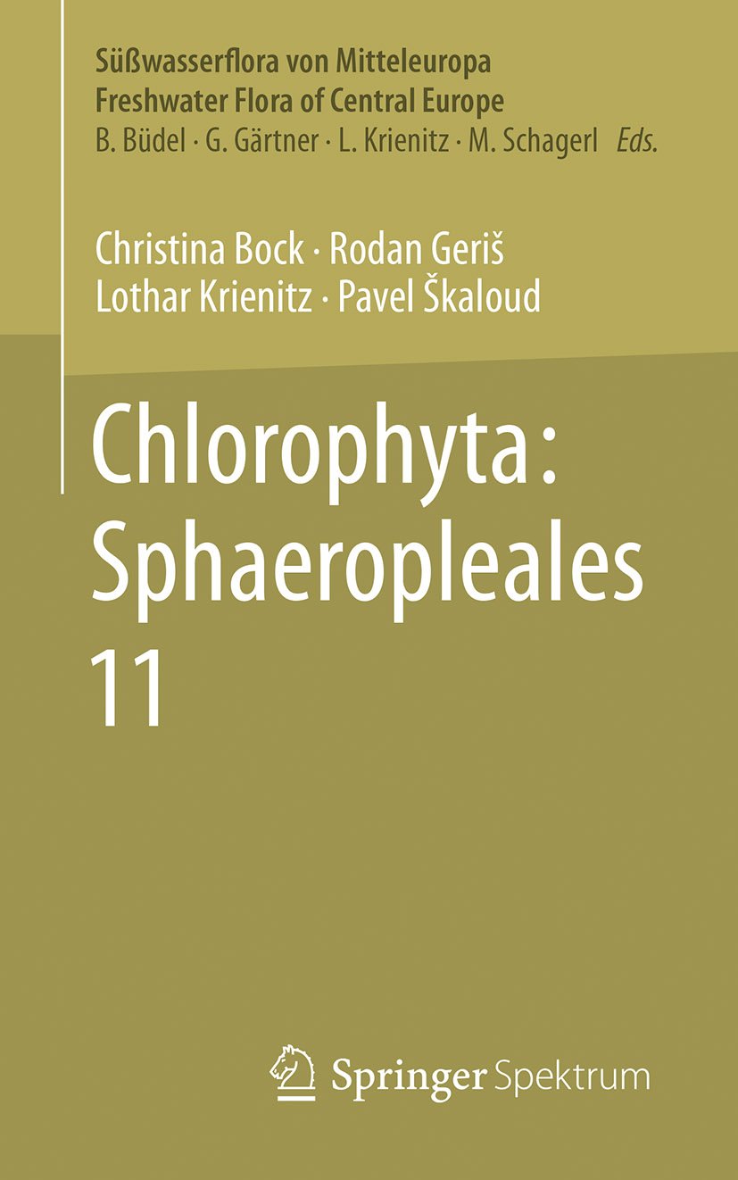 Chlorophyta: Sphaeropleales