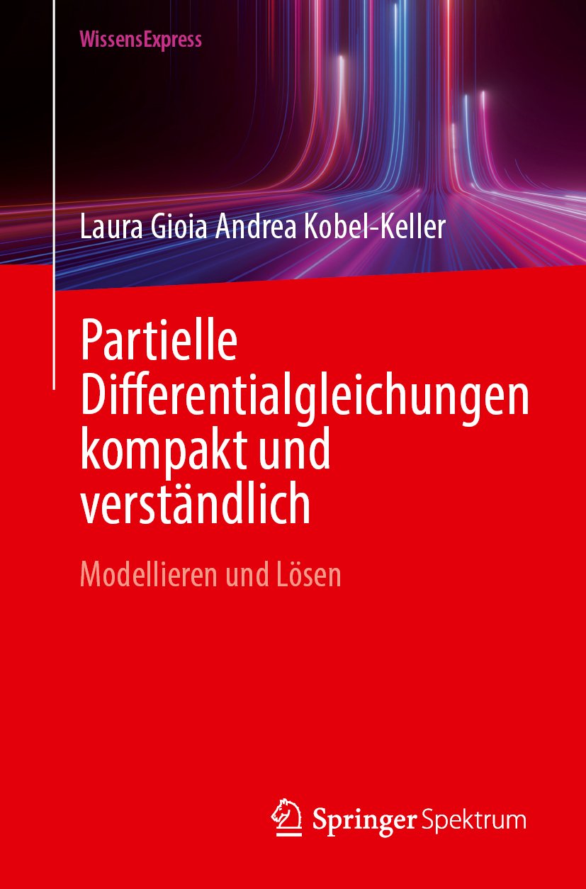 Partielle Differentialgleichungen kompakt und verständlich