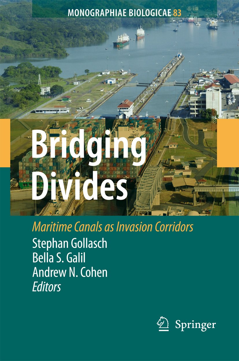 Bridging Divides