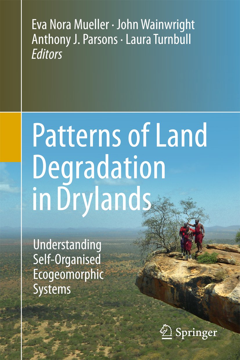 Patterns of Land Degradation in Drylands