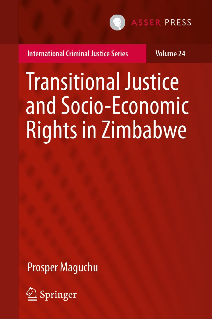 International Criminal Justice Series