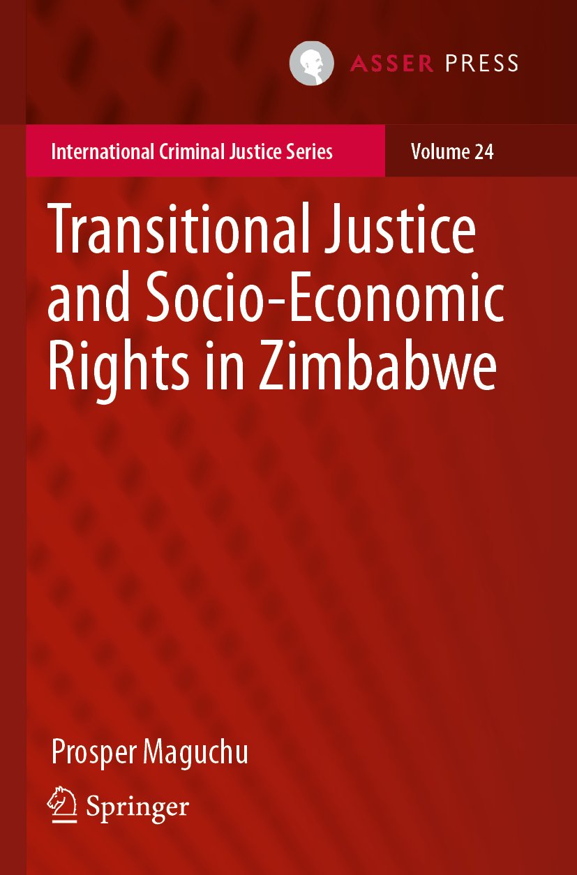 International Criminal Justice Series