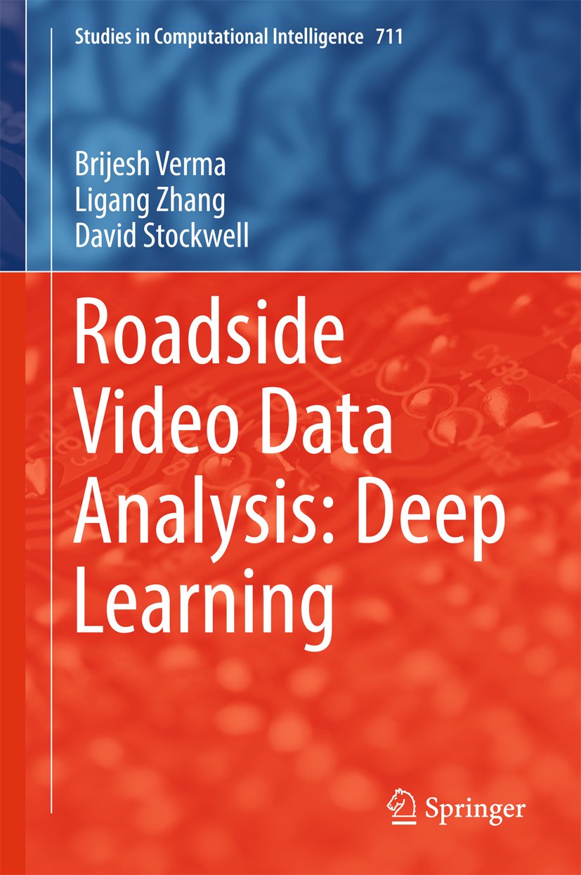 Studies in Computational Intelligence