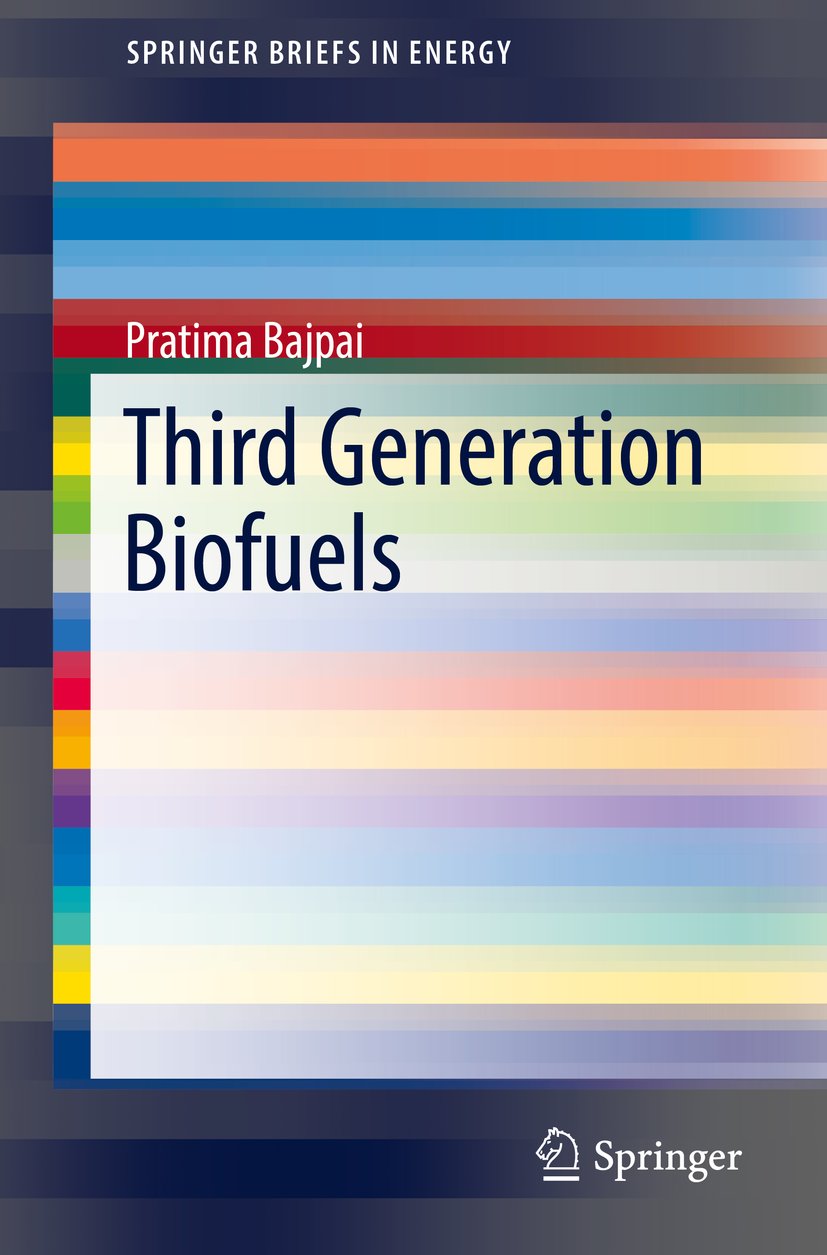 SpringerBriefs in Energy