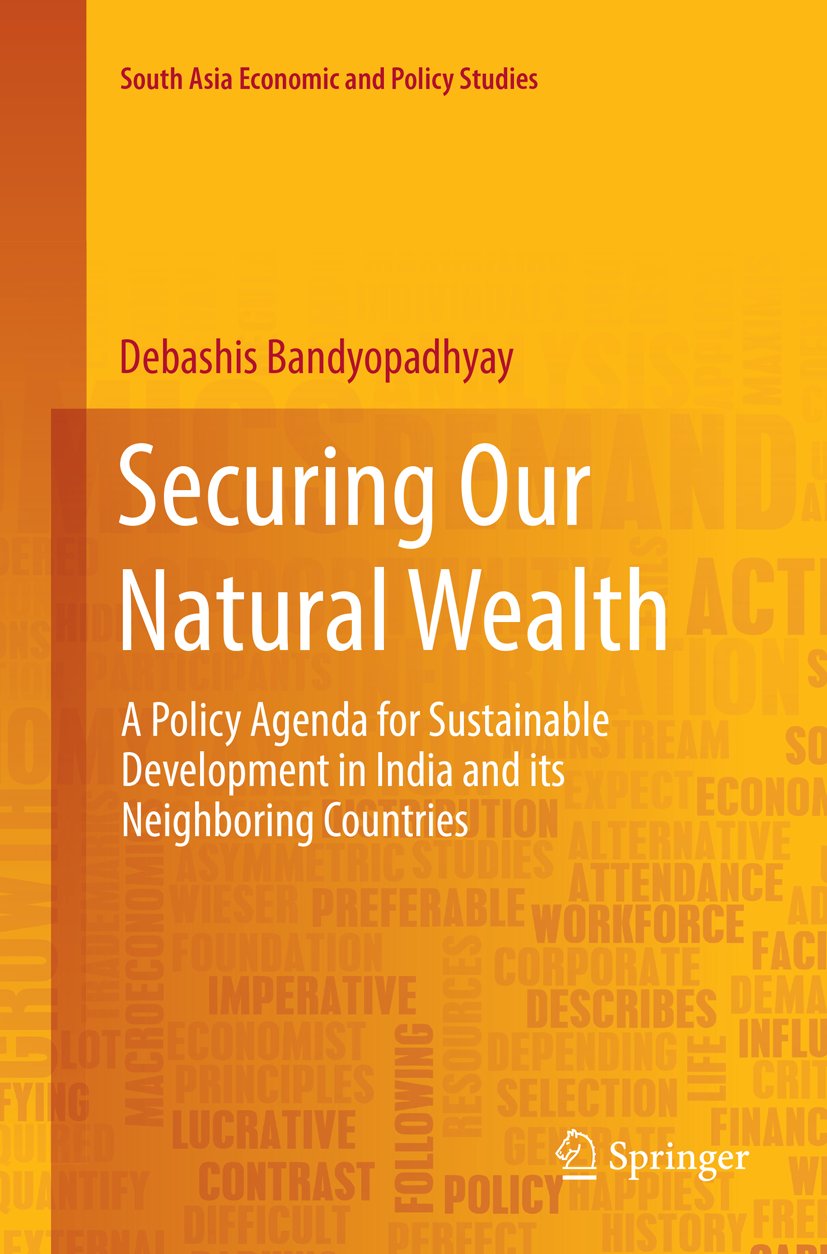 South Asia Economic and Policy Studies