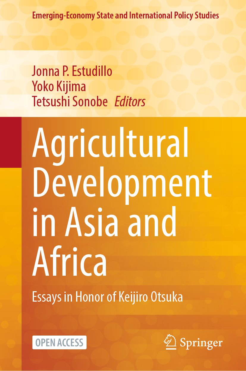 Emerging-Economy State and International Policy Studies