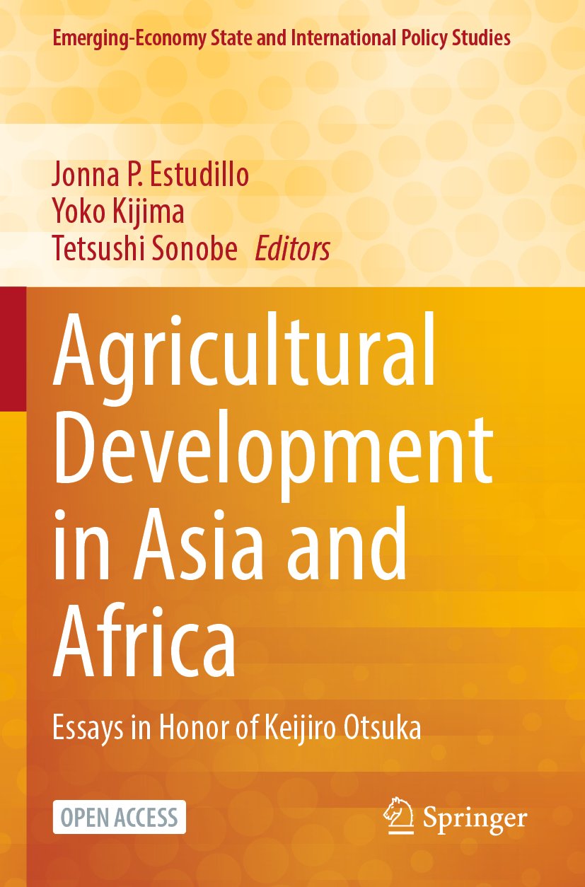 Emerging-Economy State and International Policy Studies