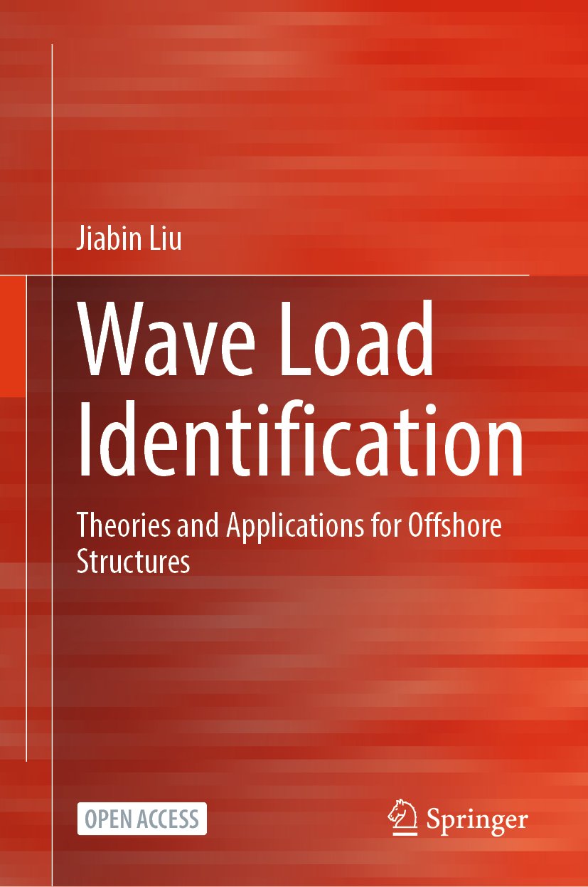 Wave Load Identification