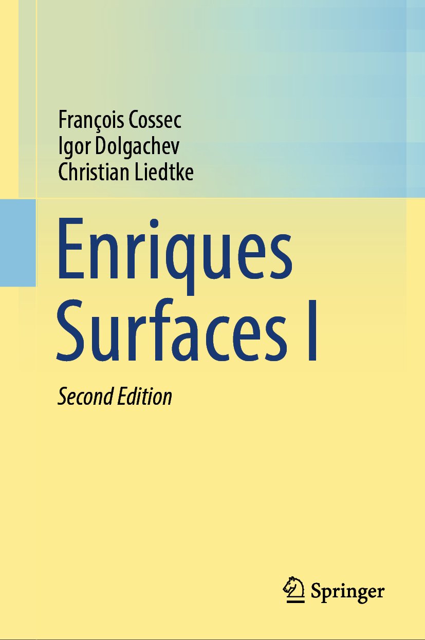 Enriques Surfaces I