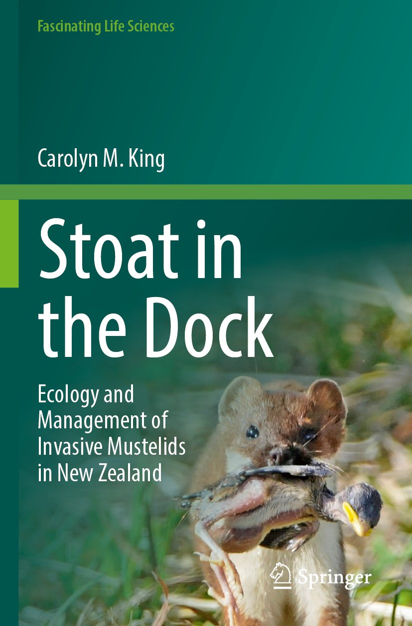 Stoat in the Dock
