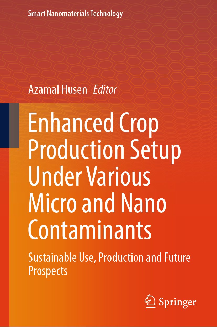 Smart Nanomaterials Technology: Sustainable Use, Production and Future Prospects
