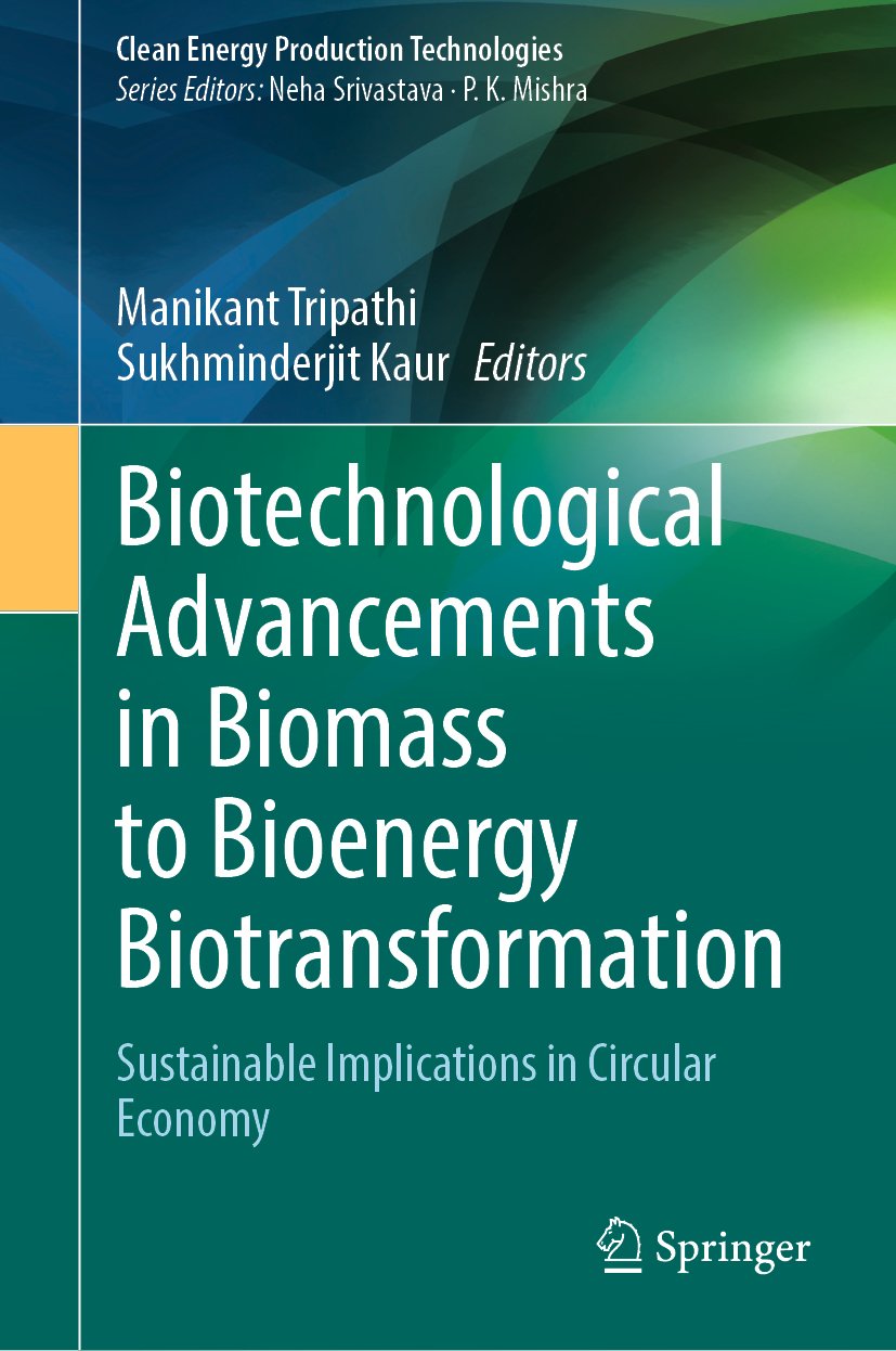 Clean Energy Production Technologies: Sustainable Implications in Circular Economy