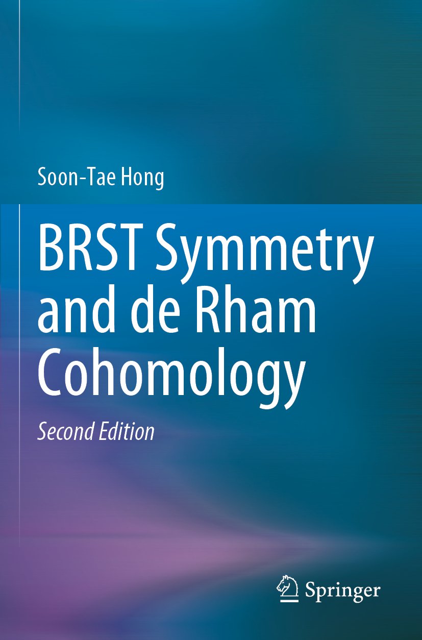 BRST Symmetry and de Rham Cohomology