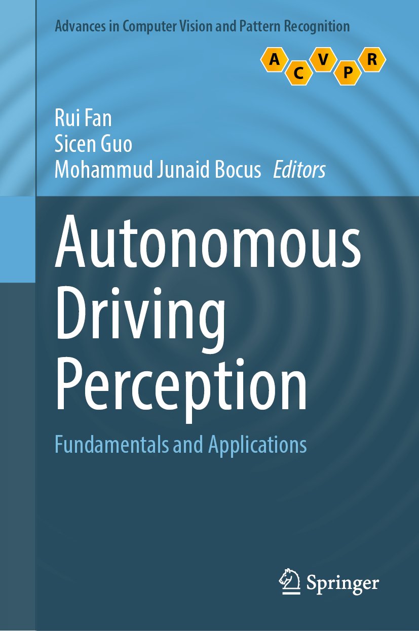 Advances in Computer Vision and Pattern Recognition