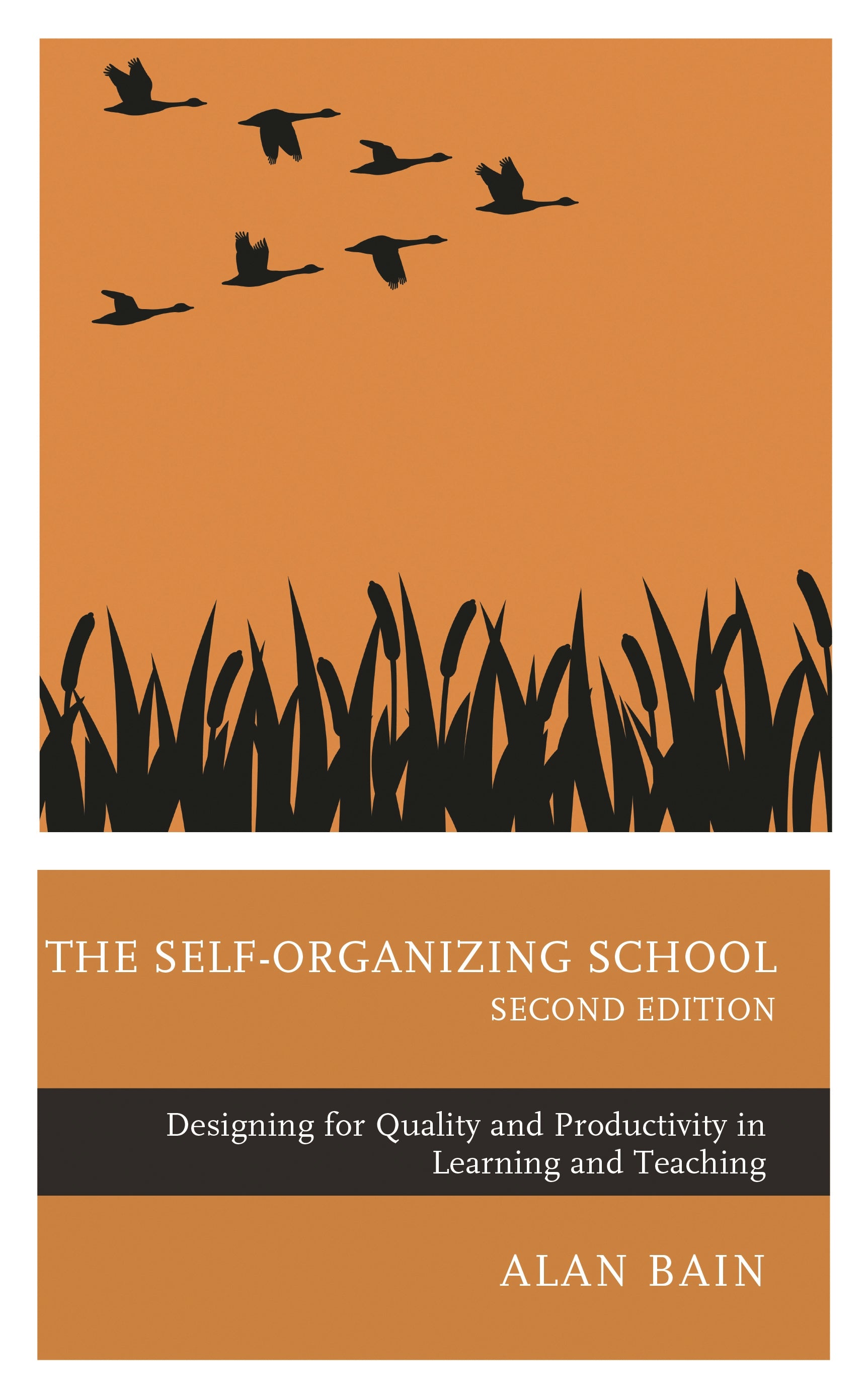 Self-Organizing School