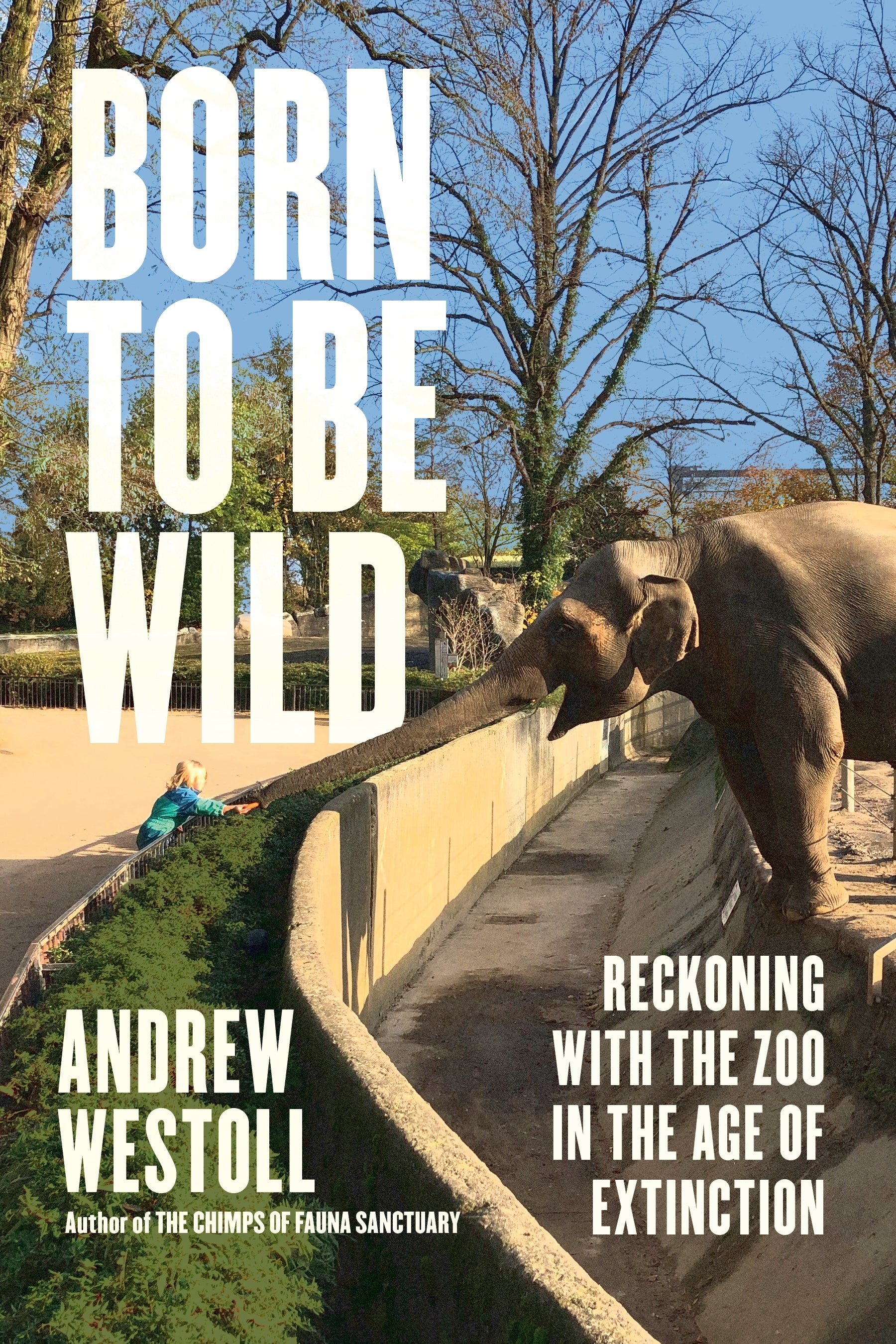 Born to Be Wild