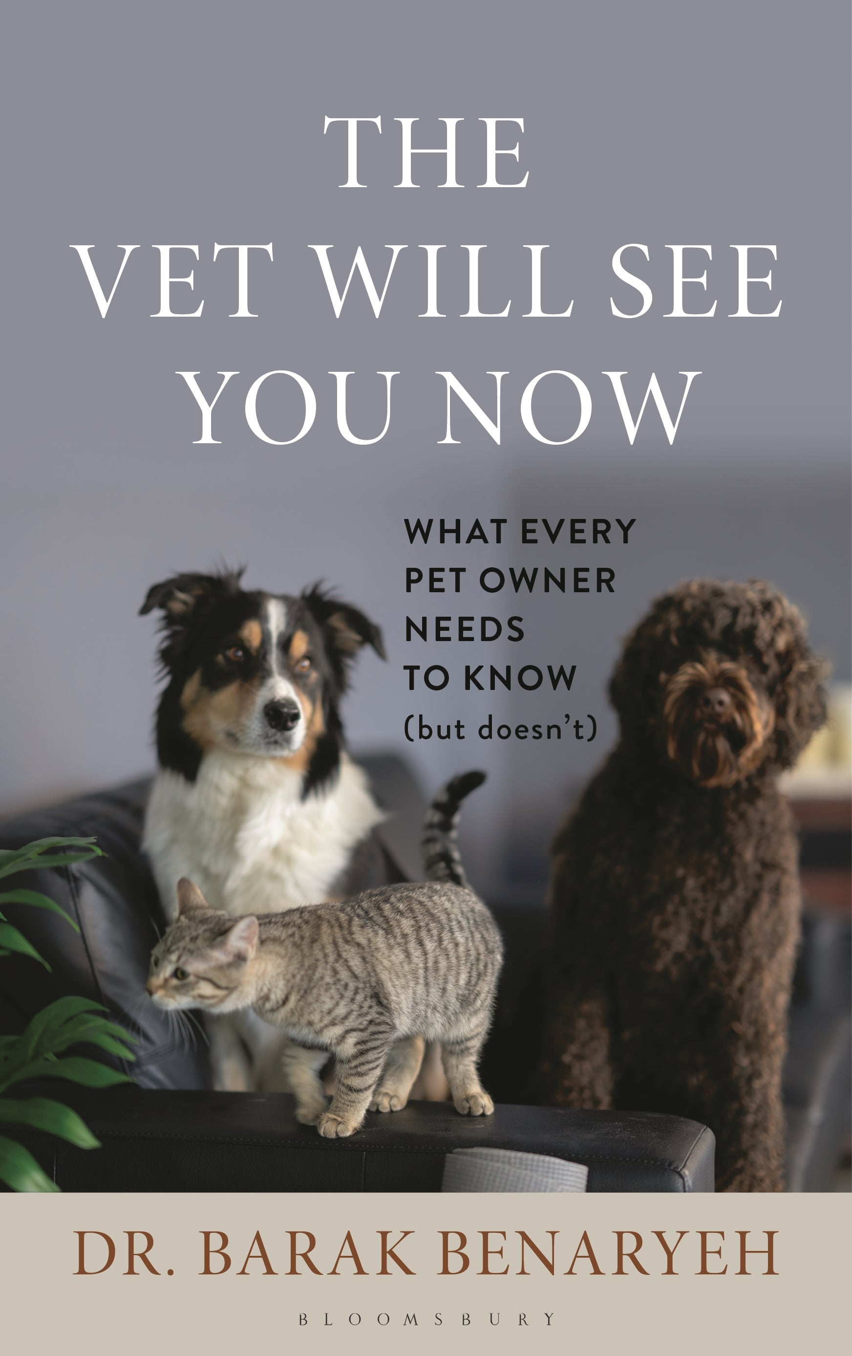 Vet Will See You Now