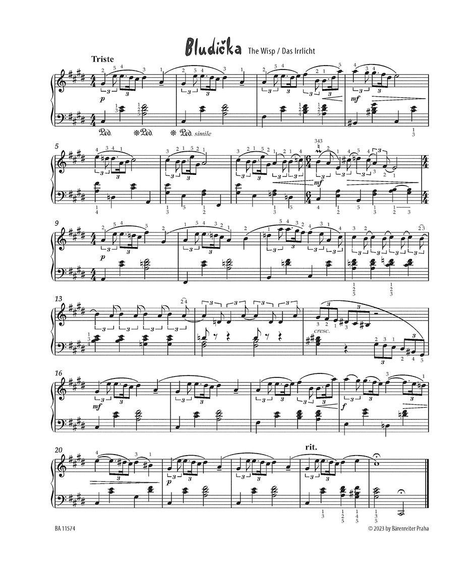 The Secret Garden. Modern Nocturnes for Piano